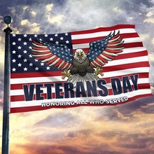 Load image into Gallery viewer, Veterans Day Eagle USA Flag