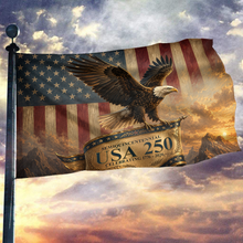 Load image into Gallery viewer, Eagle 250 Old USA Flag