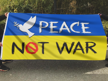Load image into Gallery viewer, Ukraine Peace Not War Flag