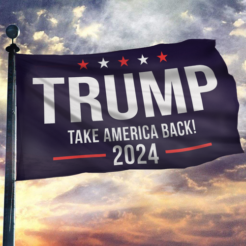 Take America Back 2024 Flag